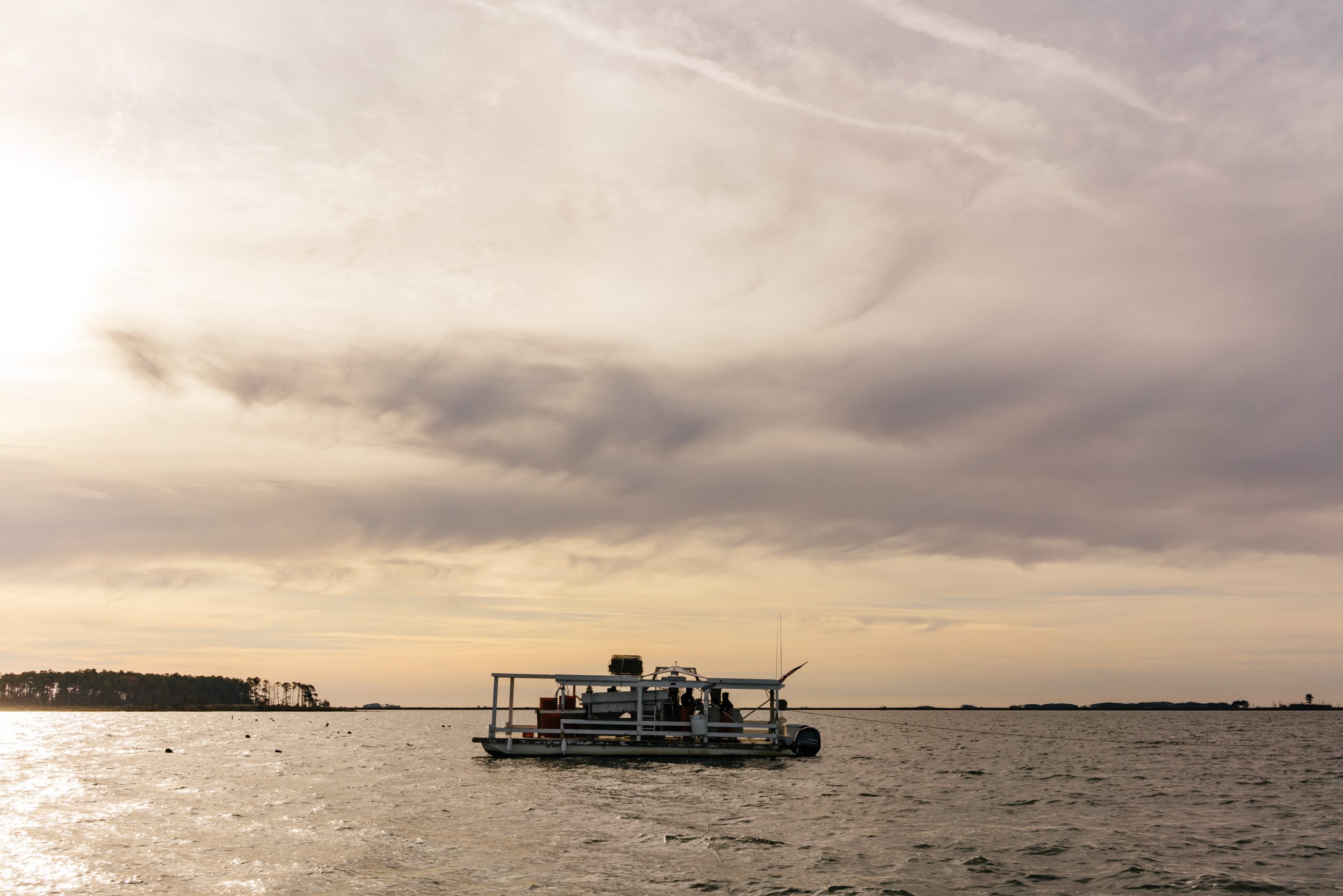 oyster boat in Chesapeake Bay during sunrise