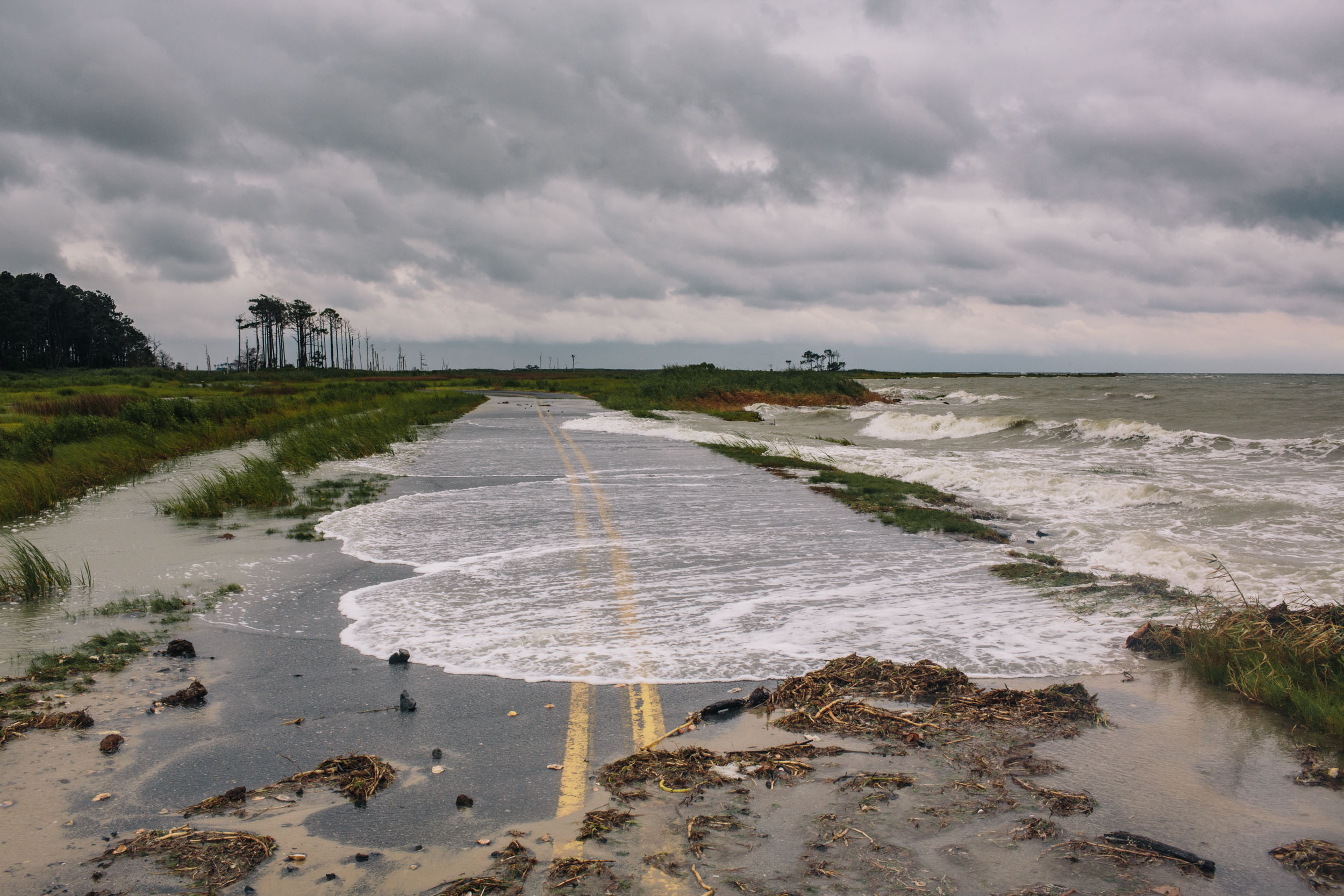salt water on road sea level rise high tide
