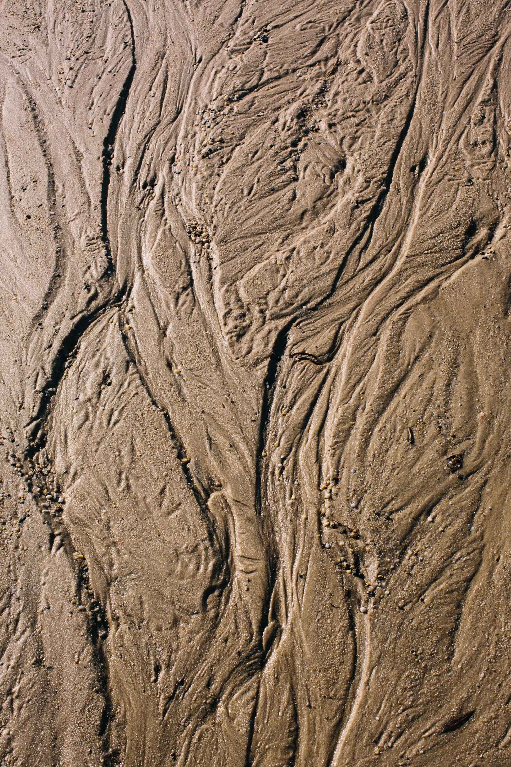 lines in sand from high tide climate change