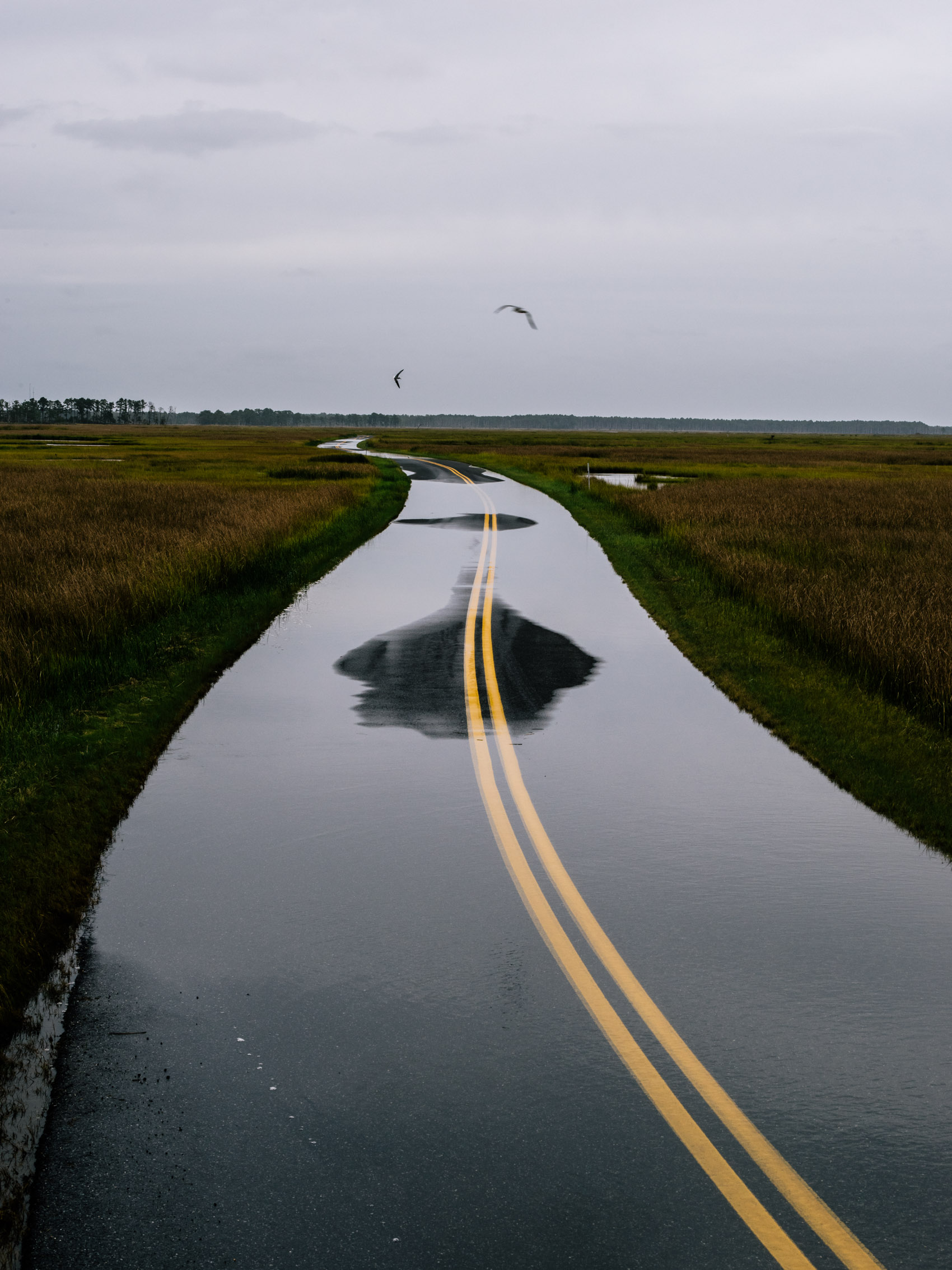Washington DC editorial photographer high tide floods road on eastern shore