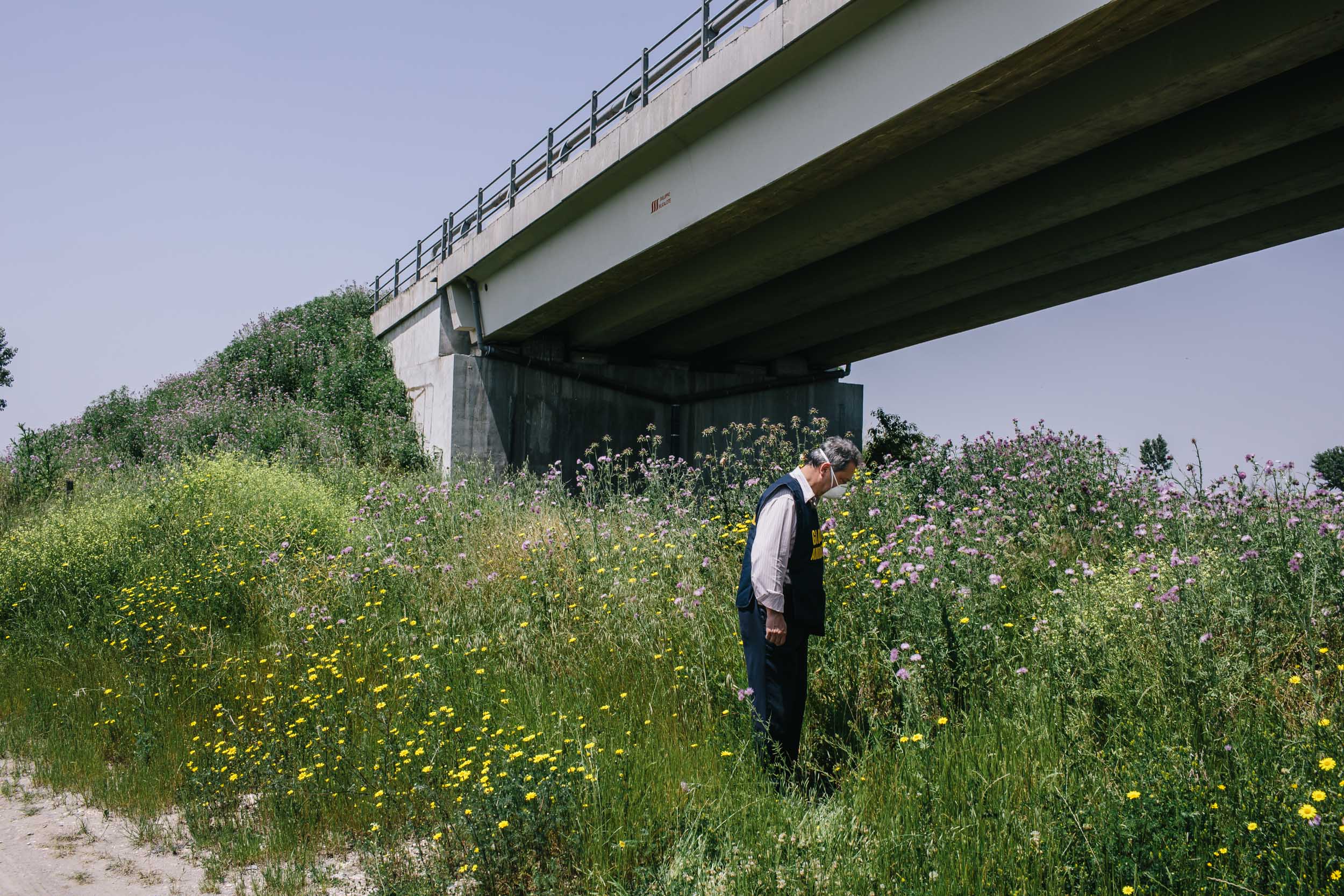 man with protective mask looking in field with flowers under bridge Italy
