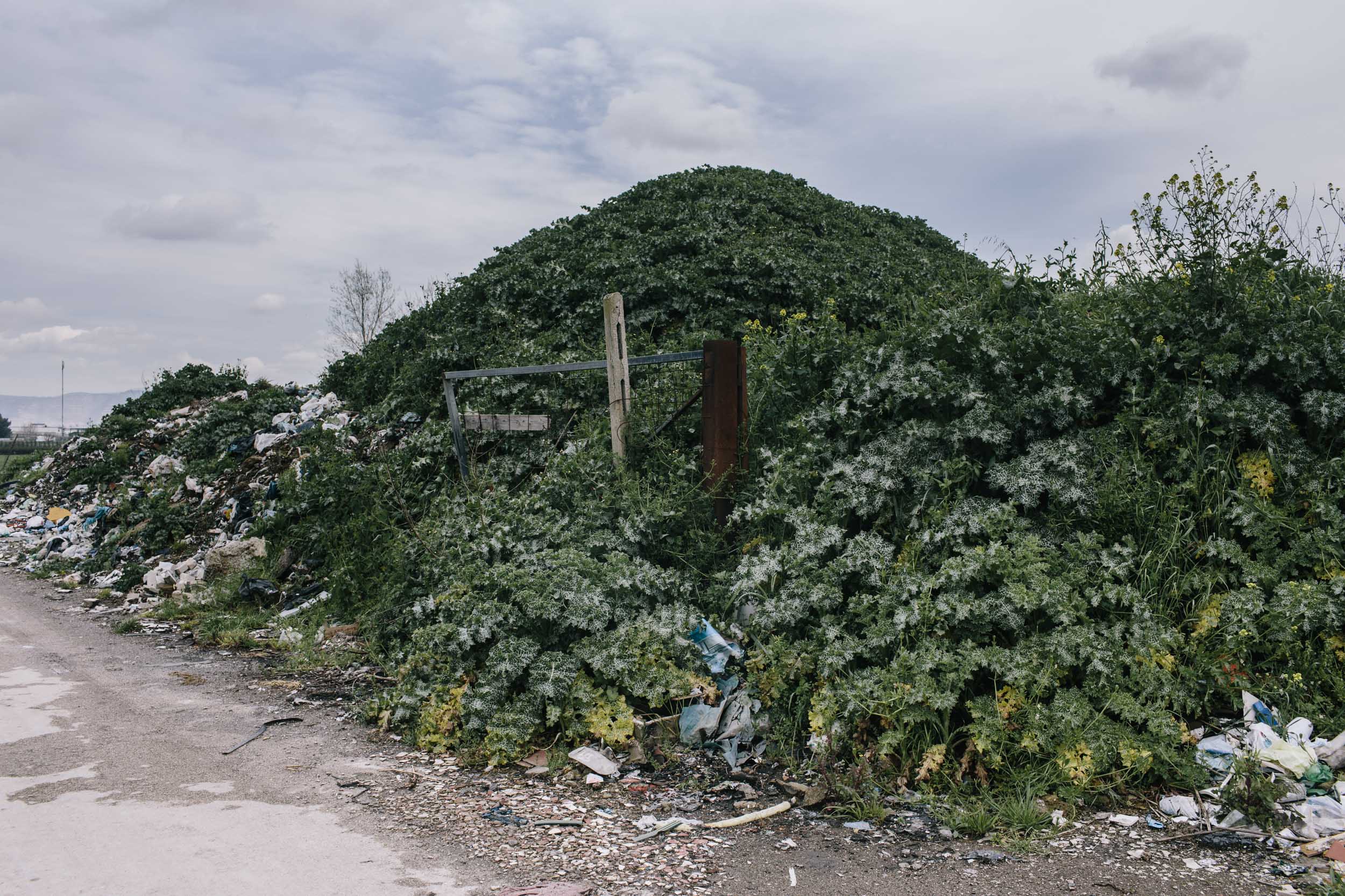 A mound of toxic materials covered by vegetation