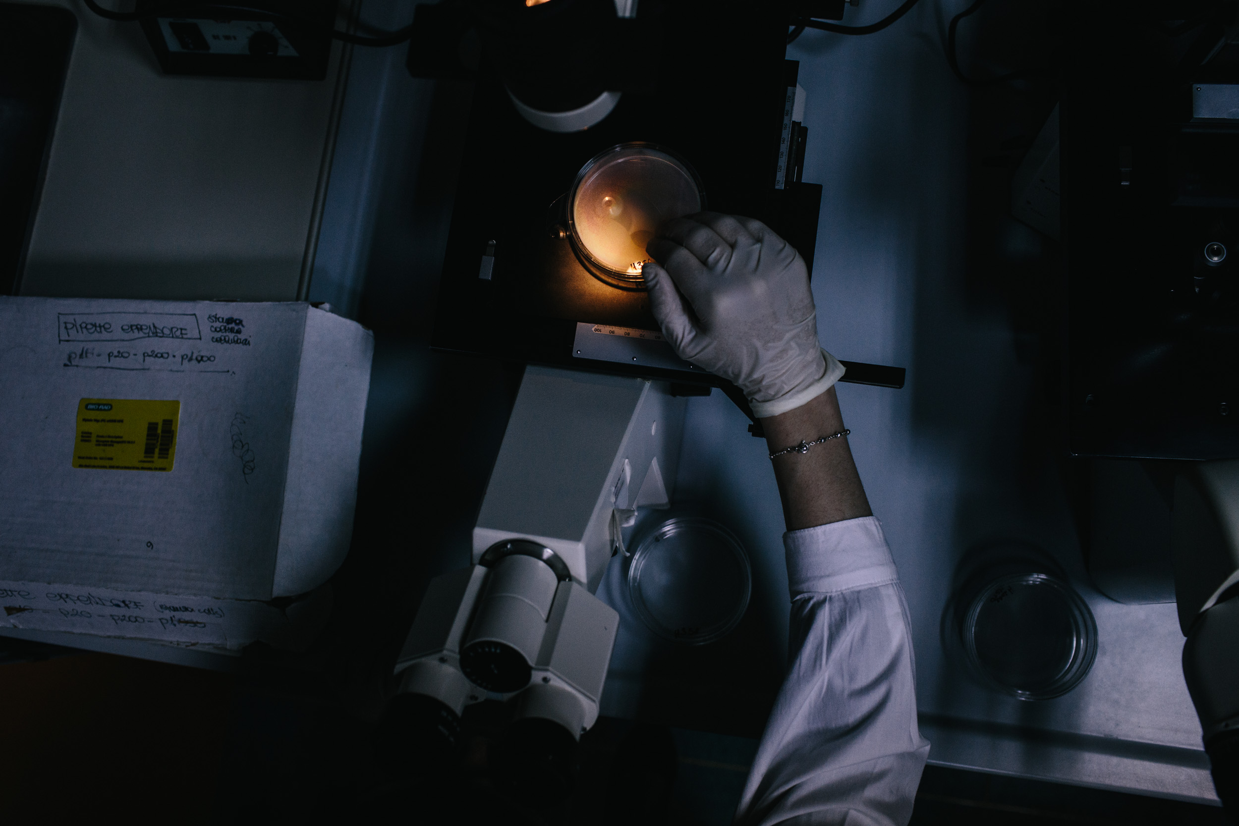 A technician at a cancer research lab in Mercogliano