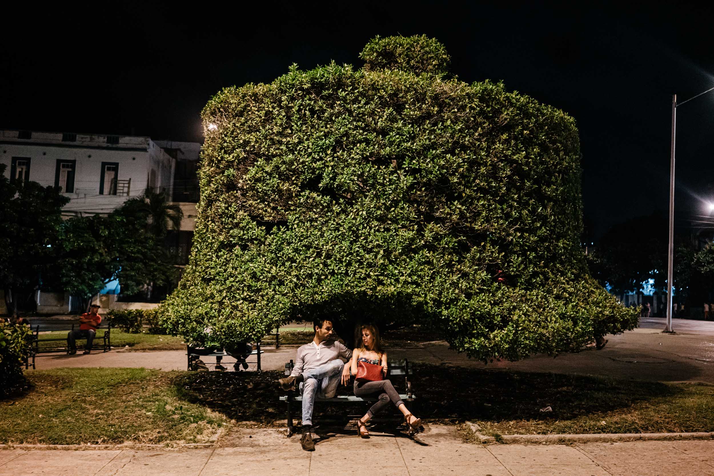 couple sits on bench below tree in Havana